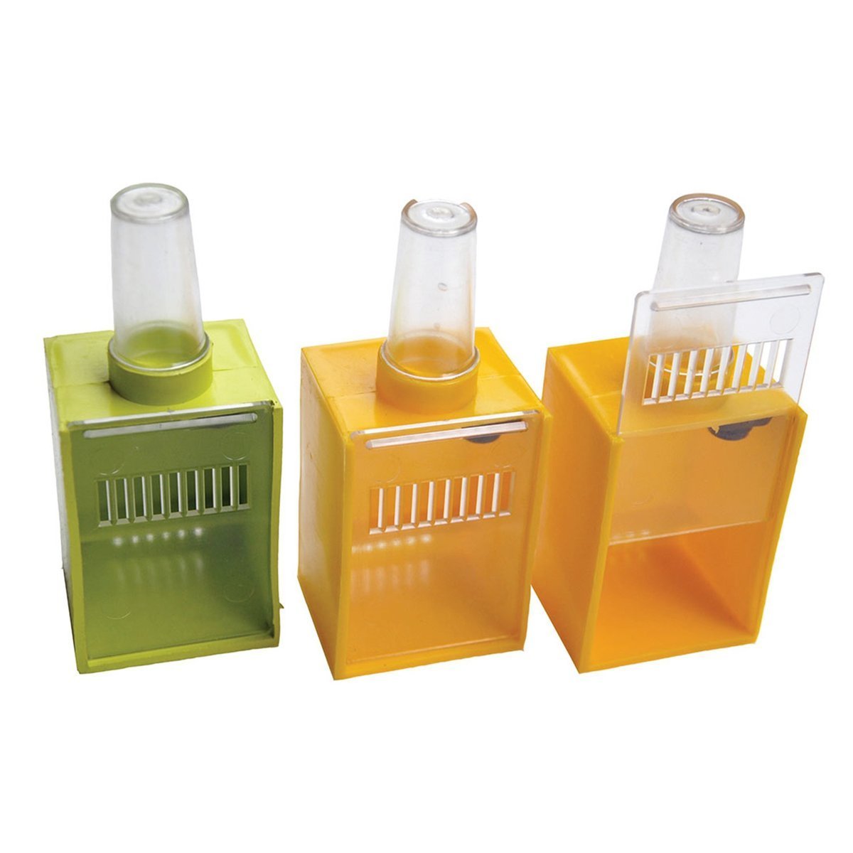 gabbia-per-lo-stoccaggio-della-regina-lyson-3004-1