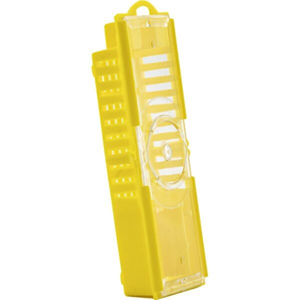 Gabbietta spedizione regine