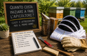 Quanto costa iniziare a fare l'apicoltore: attrezzatura necessaria per il primo anno